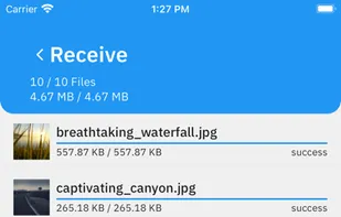 LiberDrop screenshot 2