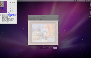 Rectangular region with magnifier