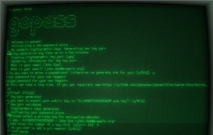 gopass screenshot 1