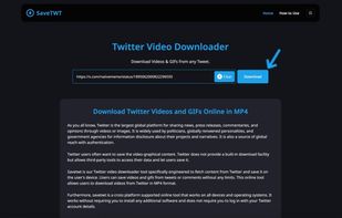 Paste link in the input box