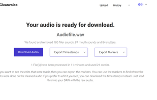 Cleanvoice screenshot 1