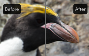 Let's Enhance screenshot 1