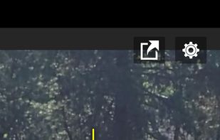 CoachView screenshot 2