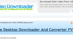 Flash Video Downloader screenshot 1