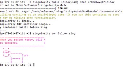Screenshot of singularity building an hello-world container