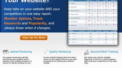 Website Monitoring Report