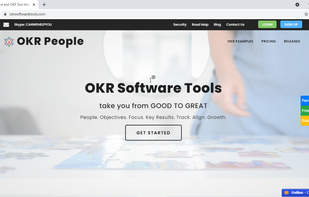 https://www.okrsoftwaretools.com/