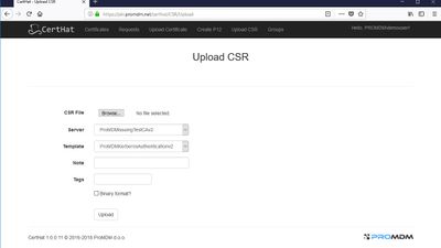 Upload CSR or Create P12 to your Microsoft PKI (AD CS) via web form.