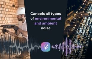 Removes all types of background noise
