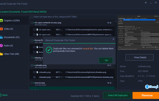 iBeesoft  Duplicate Finder screenshot 3