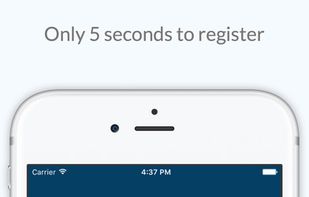 Edubirdie screenshot 1