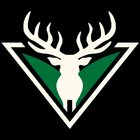 Mysports.AI icon