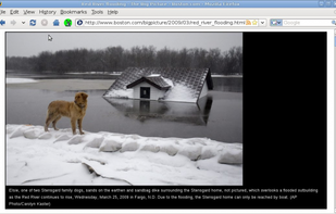 Resizes images to fit browser window.