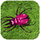 Critter Zapper icon