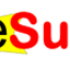 eSurv.org icon