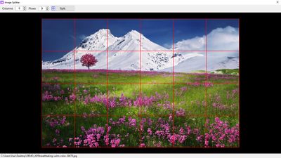 Image Splitter by Column and Row