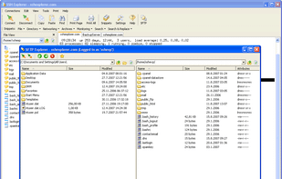 SSH Explorer screenshot 1