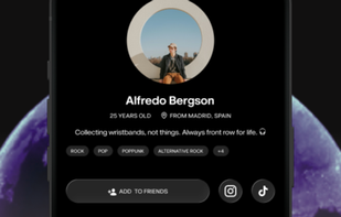 Festiveo screenshot 1