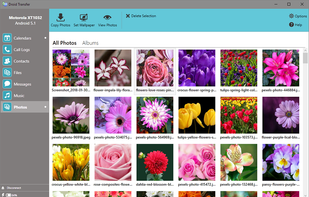 Droid Transfer screenshot 2