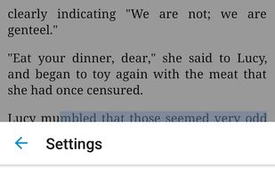 Ebook Reader screenshot 2