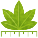 Digimizer icon
