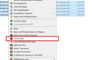 PDF Page Counter screenshot 2