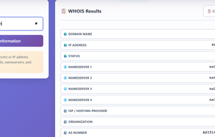 WHOIS lookup screen showing a query for google.com: on the left, the domain input and “Lookup WHOIS Information” button, and on the right a detailed WHOIS results panel listing domain name, IP address, status, nameservers, ISP/hosting provider, organization, and AS number.