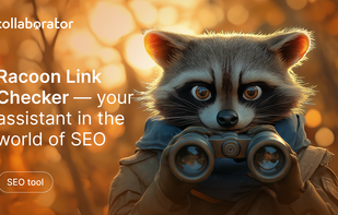 Racoon SEO Link Checker screenshot 1