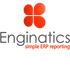Blitz Report™ from Enginatics  icon