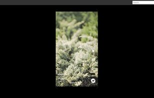 Vidzy screenshot 1