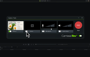Camtasia screenshot 2