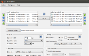 DualSub screenshot 1