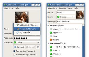 Login Window