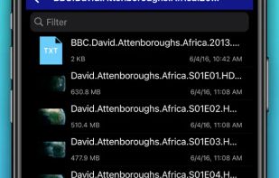 File Explorer & Player screenshot 1