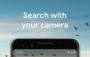 Google Lens screenshot 1
