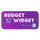 BudgetWidget icon