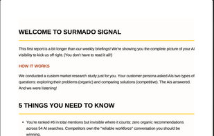 The first page of a Surmado PDF Report