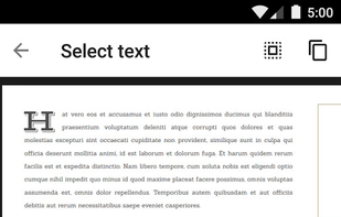 Google PDF Viewer screenshot 1