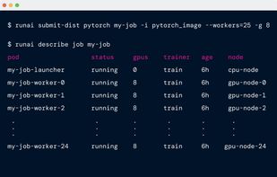 Run:ai screenshot 3