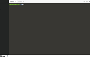 Access your consoles through a web-based terminal.