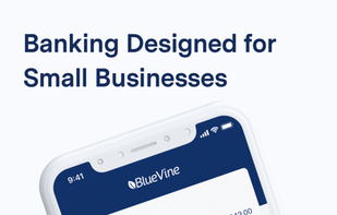 BlueVine screenshot 1