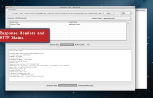 Rest Client screenshot 1