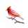 Cardinal File Search icon