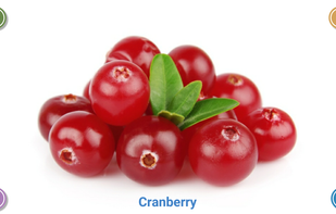 Fruits and Veggies for Kids screenshot 2