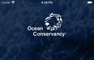 Clean Swell screenshot 1