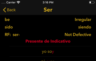 Conjugar screenshot 1