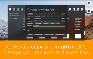 Pyká Project Manager screenshot 1