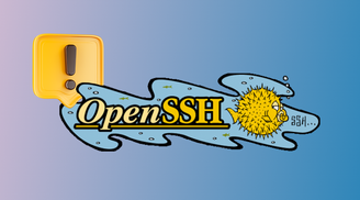 Critical OpenSSH vulnerability CVE-2023-38408 allows remote command injection on Linux systems image