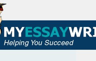 MY ESSAY WRITER screenshot 1