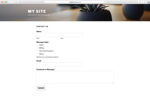 WPForms screenshot 2